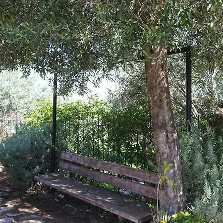 Santa Marina - Xiropigado